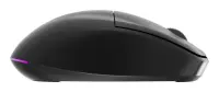 MOUSE USB OPTICAL WRL/MUSW2-6B-01 GEMBIRD – pilt 9