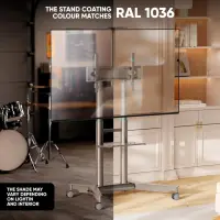 TV SET ACC MOBILE STAND/32-75"/CHAMPAGNE TS1571-C ONKRON – pilt 3