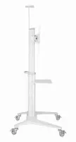 TV SET ACC FLOOR STAND 37-70"/WHITE TVS-70T-02-W GEMBIRD – pilt 2