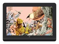 GRAPHIC TABLET 344.68X215.42MM/ARTIST PRO 16 (GEN 2) XPPEN – pilt 2