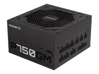 GIGABYTE GP-P750GM 750W ATX 12V v2.31 – pilt 2
