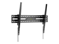 GEMBIRD TV wall mount tilt 43-100