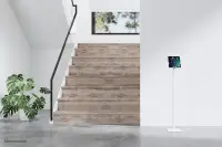 Neomounts Floor stand | FL15-625WH1 | Tilt, Rotate | 7.9- 11 " | Maximum weight (capacity) 1 kg | White – pilt 15