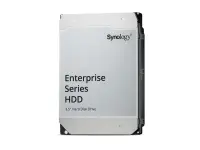 Synology Hard Drive | HAS5320-24T | 7200 RPM | 24000 GB