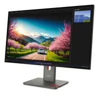 LENOVO ThinkVision P32UD-40 31.5inch TS – pilt 8