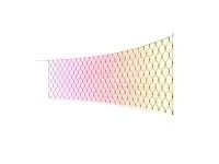 Philips Hue Festavia Net Lighting, 1 x 3.5 m, 250 LEDs, EU | White and color | Bluetooth, Zigbee
