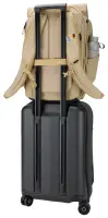 Thule Paramount Backpack 27L - PARABP3216 GENTLE BEIGE | Thule – pilt 2