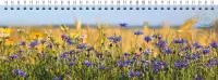 Lauakalender CLASSIC, kartongkaaned (PILT 3) 00308/41213
