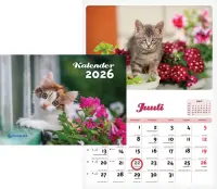 Seinakalender Kiisukalender 00360