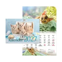 Seinakalender Kassikalender 2911600000