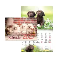 Seinakalender Koerakalender 2911601000