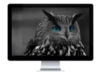 NATEC NFP-1478 Natec Privacy Filter RODO