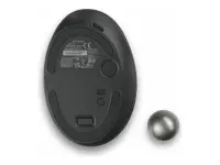 KENSINGTON Trackball Pro Fit Ergo TB550