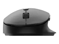 PHILIPS SPK7607B Wireless Mouse BT