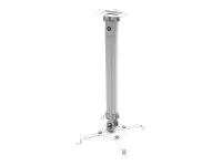 TECHLY 309661 Techly Universal projector