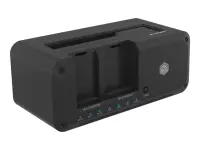 ICY BOX IB-2924MSCL-C31 Clone Docking