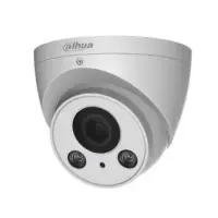 CAMERA HDCVI 1080P IR EYEBALL/HAC-HDW2221RP-Z DAHUA