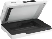 Epson WorkForce DS-1630 Lameskanner 1200 x 1200 DPI A4 Must, Valge – pilt 8