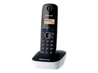 PANASONIC KX-TG1611FXW