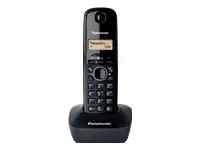 PANASONIC dect telefon juhtmeta TG1611FX