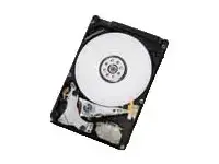 WESTERN DIGITAL Travelstar 7K1000 1TB RV