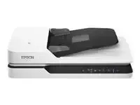 Epson WorkForce DS-1660W Lameskanner 1200 x 1200 DPI A4 Must, Valge