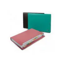 Mapp-kartoteek FORPUS A4, 12 jaotust, must, kummiga