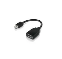 Lenovo | Mini-DisplayPort to DisplayPort Adapter | Mini-DisplayPort | DisplayPort – pilt 2