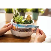 Brother | CZ-1005 | White | Full colour continuous label roll | 5 m | 5 cm – pilt 23