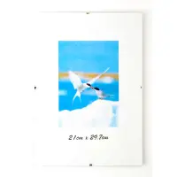 Pildiraam Clipframe 21x29,7cm