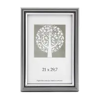 Pildiraam SAVEX  21x29,7cm plast, hõbe