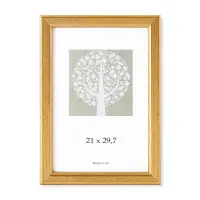Pildiraam SAVEX 21x29,7cm, plast, kuld