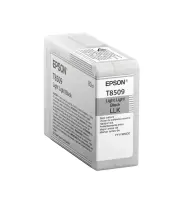 EPSON Singlepack Light Light Black