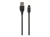 GEMBIRD CCP-USB2-AMCM-6 USB 2.0 AM cable