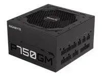 GIGABYTE GP-P750GM 750W ATX 12V v2.31