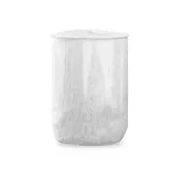 Anti-calc & Antibacterial Filter Capsules (2x) | For Beam mini | White