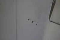 SALE OUT. Xiaomi | Mi Robot Vacuum-Mop 2 Ultra Auto-empty station | Black | DEMO