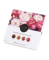 PURE eksklusiivne trühvlite kollektsioon, 16tk