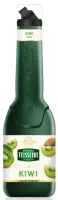 Puree TEISSEIRE, kiivi, 1 l