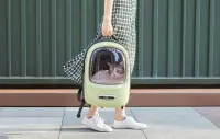 PETKIT | Pet Carrier | Breezy2 | Green – pilt 6
