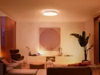 Philips Hue Enrave XL ceiling lamp white | 48 W | White Ambiance 2200-6500 | Bluetooth