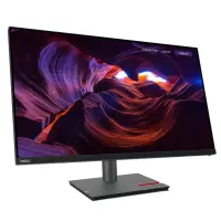 LENOVO ThinkVision P32p-30 31.5inch TS