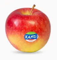 Õun Kanzi, I klass, KG
