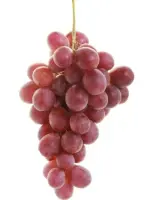 Viinamari, Red Globe, I klass, KG