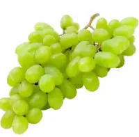 Viinamari hele seemneteta, Thompson, II klass, KG