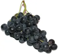 Viinamari tume, Moldova, II klass, KG