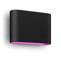 Philips Hue WCA Dymera Smart Wall Light Indoor and Outdoor | 2000-6500 Hue White Colour Ambiance