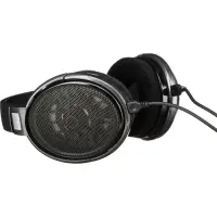 Sennheiser | Headphones | HD 650 | Wired | Over-Ear | Titan
