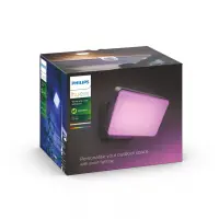 Philips Hue WCA Discover Outdoor Floodlight | 2000-6500 Hue White Colour Ambiance