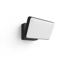 Philips Hue WCA Discover Outdoor Floodlight | 2000-6500 Hue White Colour Ambiance
